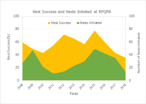 nestsuccess 2