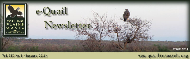 banner_Jan2011