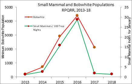 SmallMammal